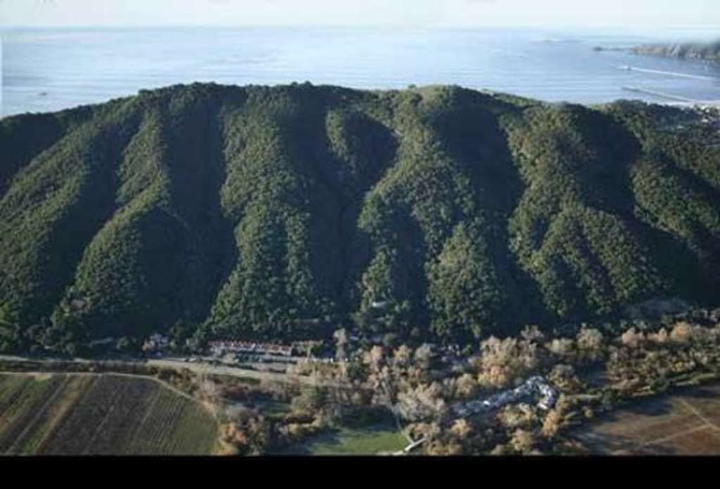 Sycamore Mineral Springs Avila Beach Exterior foto